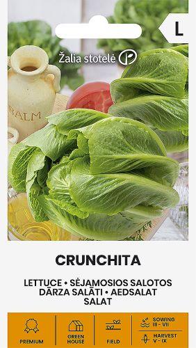 Lettuce Crunchita Seeds